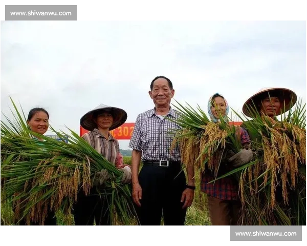 袁隆平以智慧与汗水让中国稻田丰收世界餐桌因他而更加充盈