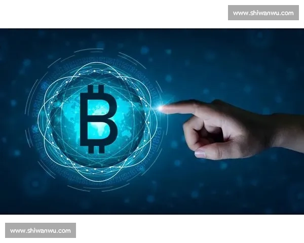 比特币的未来：从数字货币到全球金融革命的探索与挑战